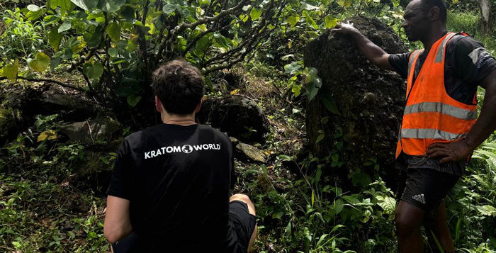 Cesta na farmu Kava Kava: Report z Fidži od Hemp World