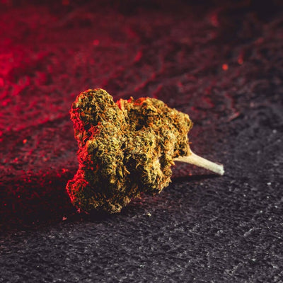 CBD Květ CBD Prodej Praha Kratom World Kvalitní CBD Květy Strawberry Queen Jahodová Královna Česko Detail Květu